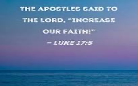 27th Sunday In Ordinary Time